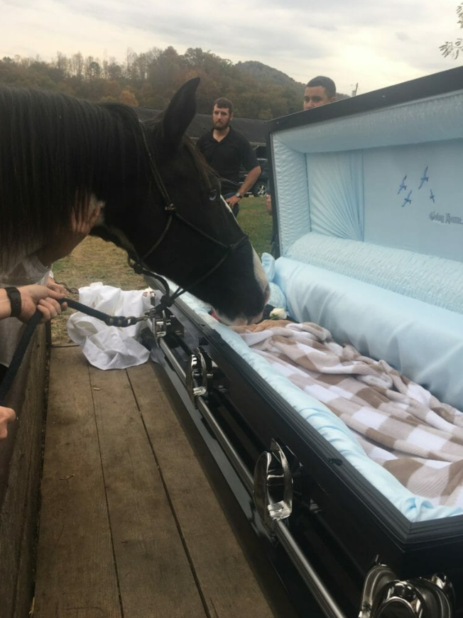 Facebook / Janna Grapperhaus Midwife