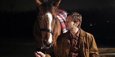 Das Pferd auf dem Balkon sorgt für Wunder