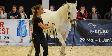 Pferdesprache wird Besuchern demonstriert