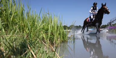 Olympia-Drama um eingeschl&auml;fertes Pferd