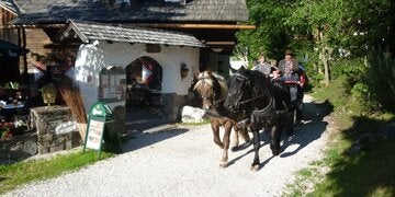 Doppelzimmer Trattlerhof 