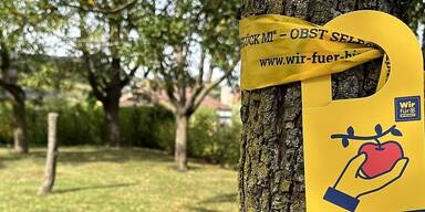 "Pfl&uuml;ck mi!" Gelbes Band zeigt Obst zur freien Entnahme