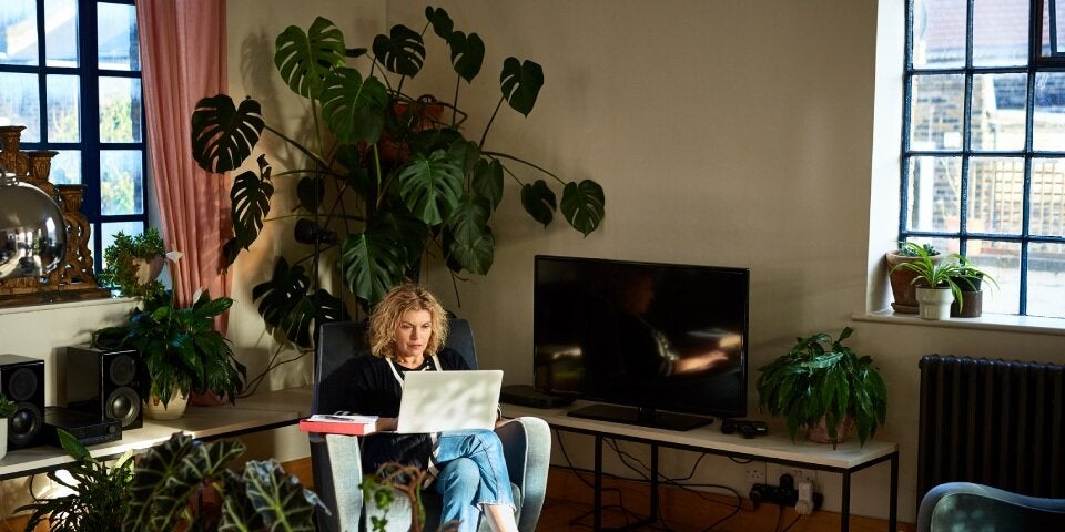 Eine grüne Oase innerhalb der eigenen vier Wände