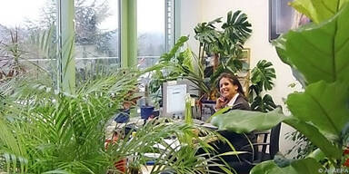 Pflanzen lassen Ecken und Nischen entstehen