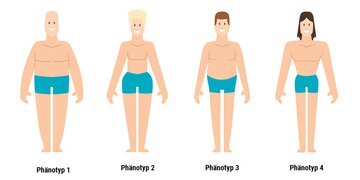 Phänotyp 1-4.jpg