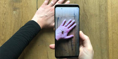 Geniale App bek&auml;mpft die Spinnenangst