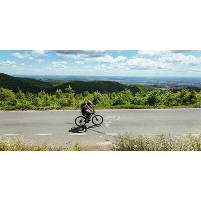 Aufgrund der sauberen, geschützten Natur und des vielfältigen Reliefs bewohnt eine Fläche von ca. 3.000 km2 eine wirklich beeindruckende Anzahl von Tierarten.