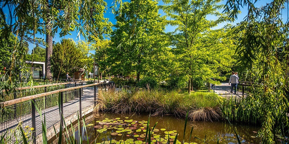 Nahe der Stadt, nahe am Herzen