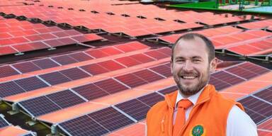 Nemetz Hans jun, Nemetz Fleisch HandelsgmbH