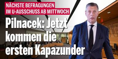 Pilnacek-U-Ausschuss: Jetzt kommen die ersten Kapazunder