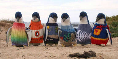 109-J&auml;hriger strickt f&uuml;r Pinguine