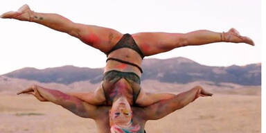 Versicherungen: Pink Shows zu gefährlich 