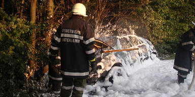 Autofahrer in letzter Minute gerettet