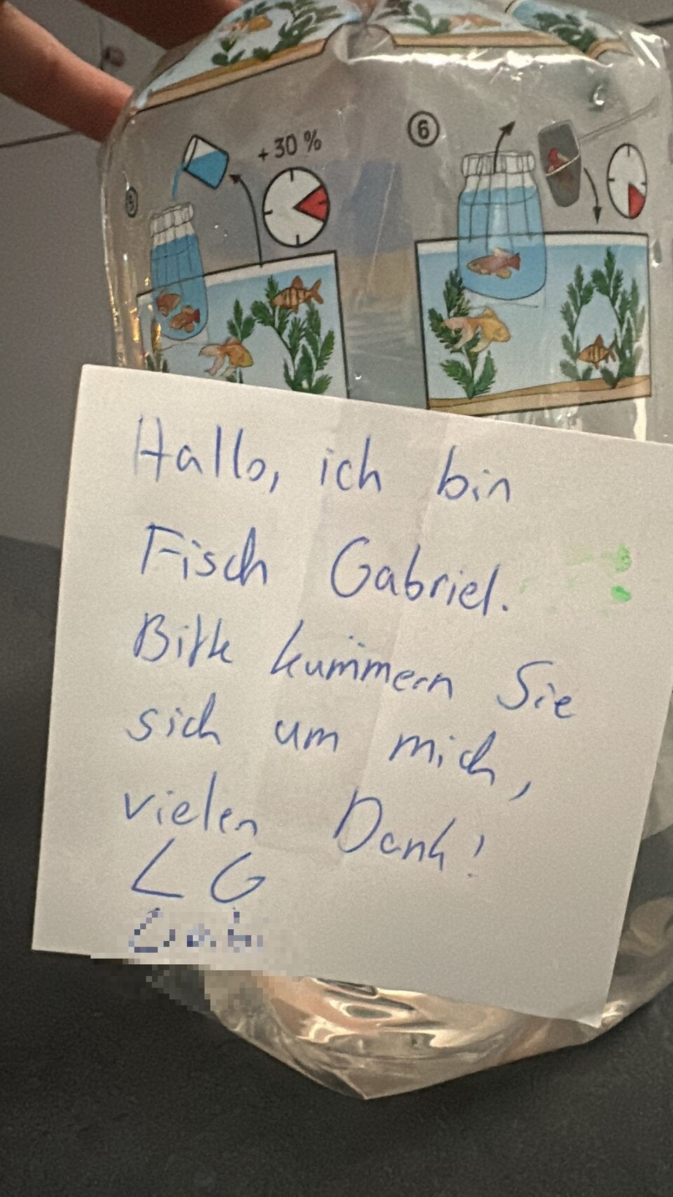 Fisch Gabriel