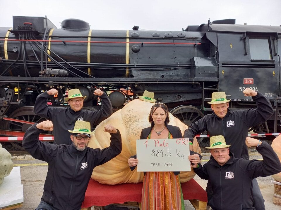 884 Kilo: Riesenkürbis aus NÖ schlägt alle Rekorde