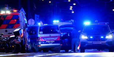 Vergewaltiger in Wiener Bar festgenommen