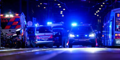 Alko-Randalierer verletzt drei Polizisten