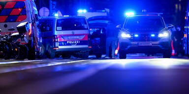 Raser ohne F&uuml;hrerschein rammt Polizeiauto
