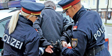 Bankr&auml;uber zu 4,5 Jahren Haft verurteilt