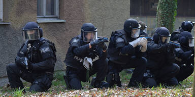 Wels: Polizisten bei Einsatz attackiert