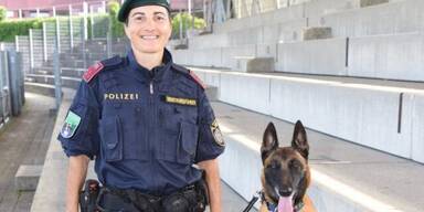 Safira sp&uuml;rte Einbrecher auf