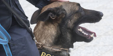 Beamtinnen der Polizeihundestaffel im Einsatz