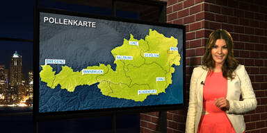 Bio- und Pollenwetter