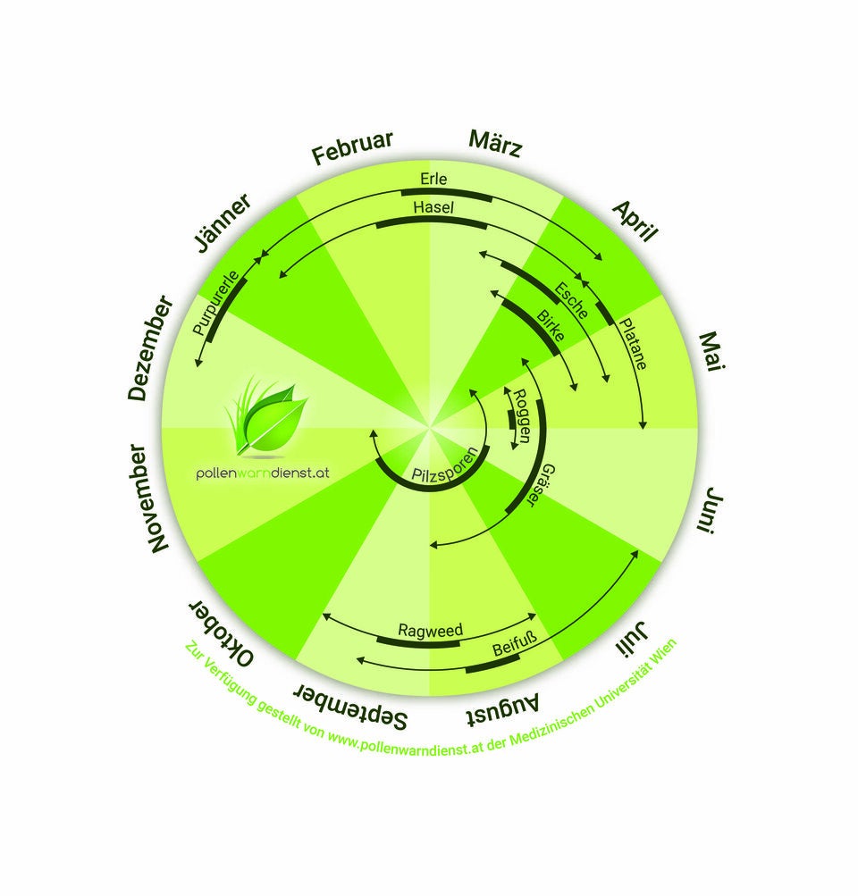 Was Allergikern heuer blüht