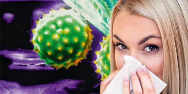 Jetzt Pollen-Alarm in &Ouml;sterreich