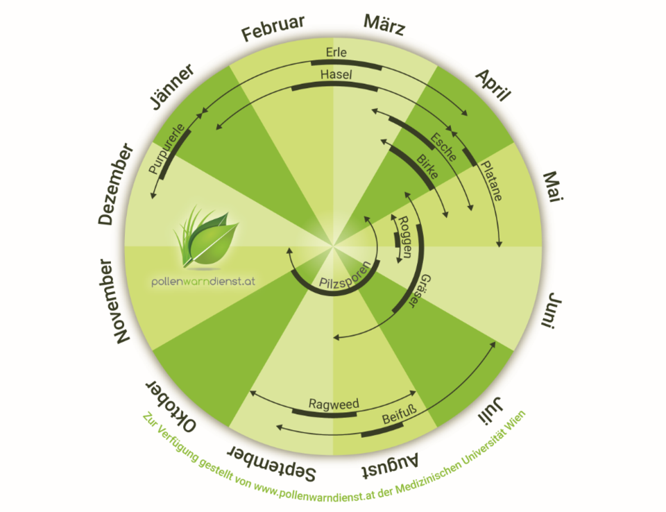 Pollenkalender