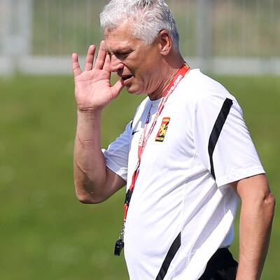 Hier leitet Polster sein 1. Admira-Training