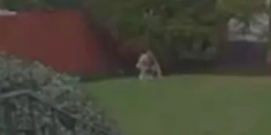 Twitter/@babzonthemic