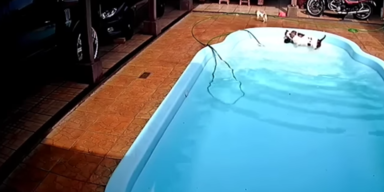 Sunny Skyz Videos/Youtube