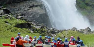 Positiv bei Allergie- und Asthmaproblemen