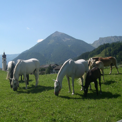 Posthotel Achenkirch - 5* Wellnesshotel am Achensee in Tirol