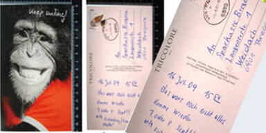 Serien-Bankräuber ist zurück