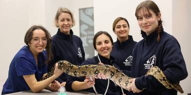 Haus des Meeres er&ouml;ffnet Spezialpraxis f&uuml;r exotische Tiere