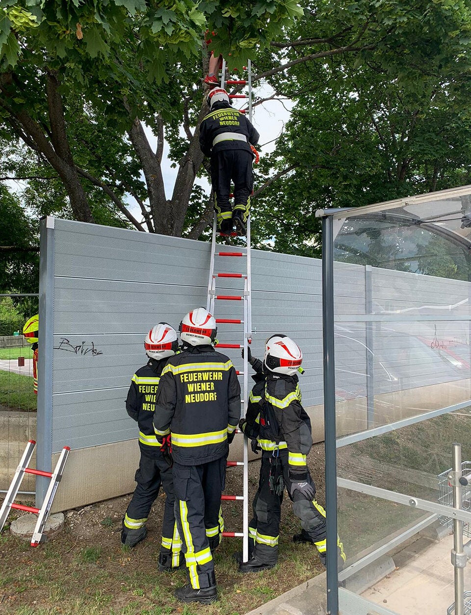 Happy End! Feuerwehr rettet Bub von Baum