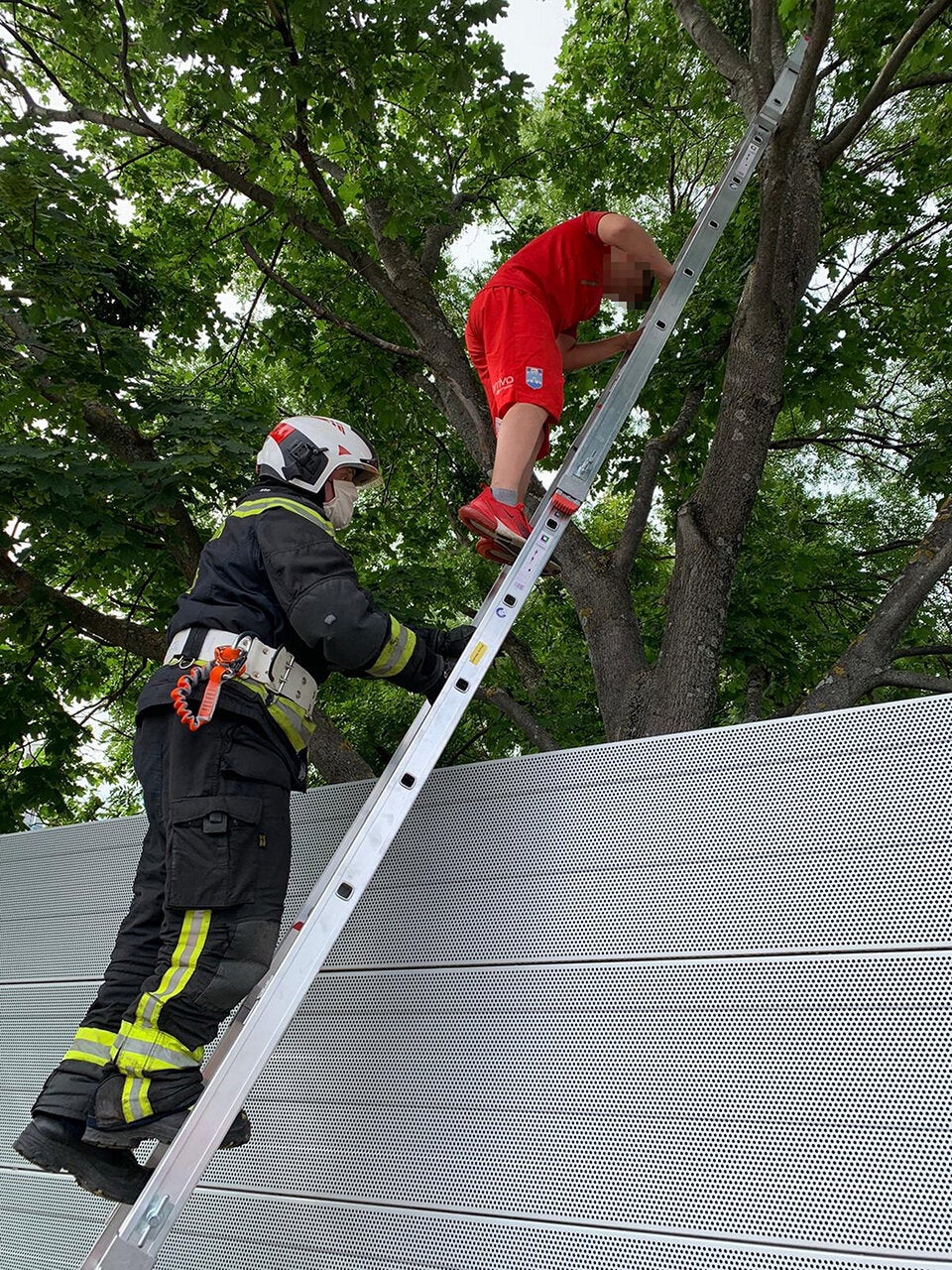 Happy End! Feuerwehr rettet Bub von Baum