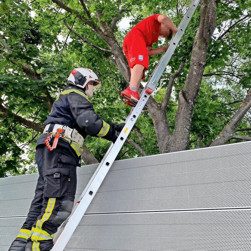 Wiener Neudorf Feuerwehr rettet Fußballer von Baum