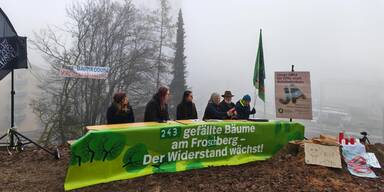 Pressekonferenz gegen Baumfällungen