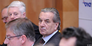 Skylink wird ab Mitte Februar weitergebaut