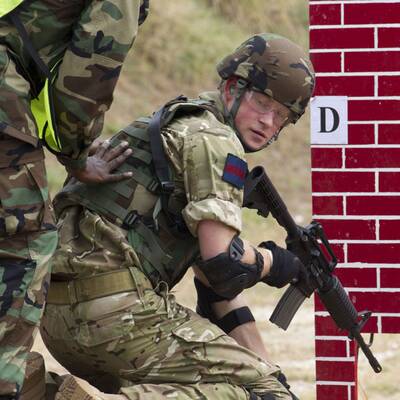 Das Jahr der Royals: Königliche Highlights 2013