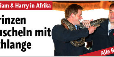 Prinzen kuscheln mit Schlange