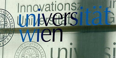 Problem "&Uuml;berqualifizierung"