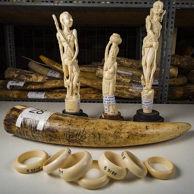 WWF-Experte Georg Scattolin und Ranger im Kui Buri Nationalpark