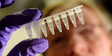 Produktionskapazit&auml;t k&ouml;nnte kleiner sein als erhofft