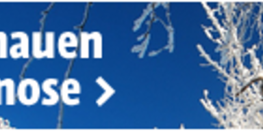 Hochwasser: Ab morgen Besserung in Sicht