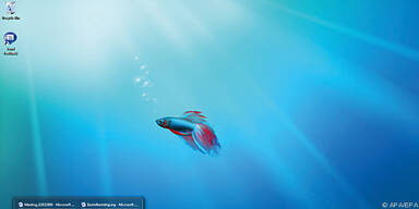 Programmfenster beliebig anordnen