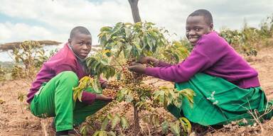 Sch&uuml;lerprojekt bringt nachhaltigen Kaffee aus Tansania nach &Ouml;sterreich